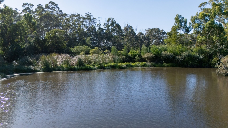 Commercial Property for Sale in Plettenberg Bay Rural Western Cape